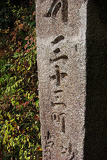 dsc06011_thumb.jpg