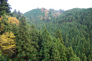 dsc06012_thumb.jpg