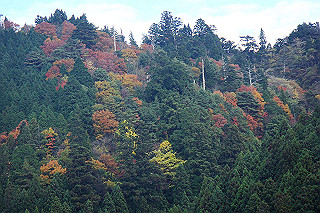 dsc06015_thumb.jpg