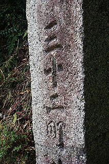 dsc06016_thumb.jpg