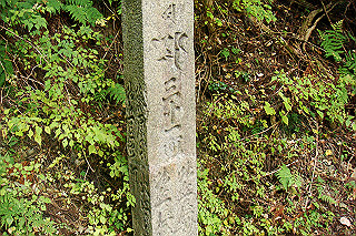 dsc06018_thumb.jpg