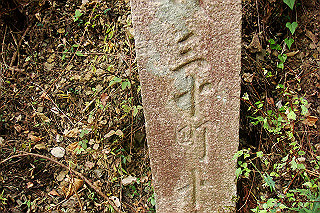 dsc06019_thumb.jpg