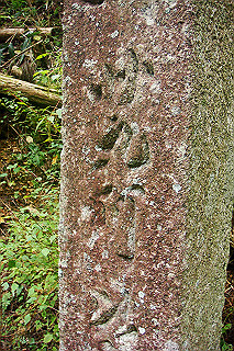 dsc06020_thumb.jpg