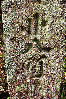 dsc06023_thumb.jpg