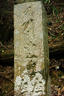 dsc06029_thumb.jpg