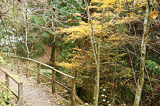 dsc06033_thumb.jpg
