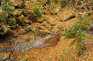 dsc06034_thumb.jpg