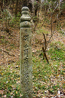 dsc06037_thumb.jpg