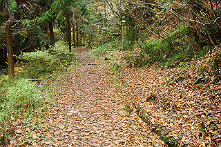 dsc06038_thumb.jpg