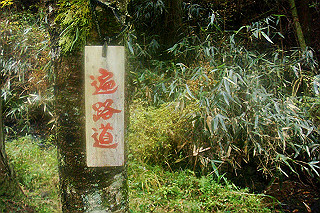 dsc06039_thumb.jpg