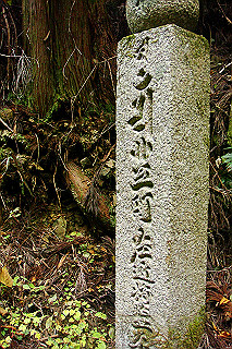 dsc06041_thumb.jpg