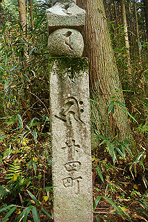 dsc06043_thumb.jpg