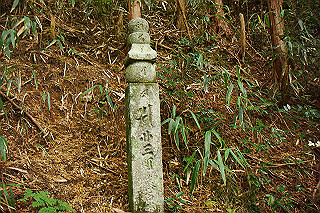 dsc06044_thumb.jpg