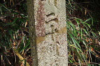 dsc06049_thumb.jpg