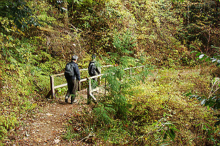 dsc06050_thumb.jpg