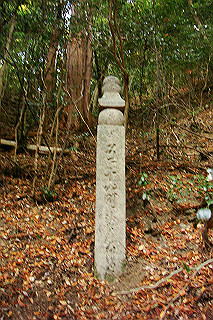 dsc06052_thumb.jpg