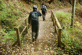 dsc06053_thumb.jpg