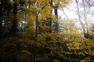 dsc06054_thumb.jpg