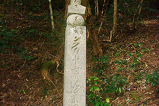 dsc06055_thumb.jpg