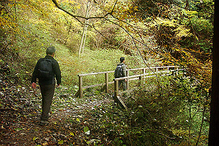 dsc06056_thumb.jpg