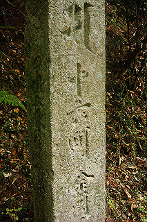 dsc06057_thumb.jpg