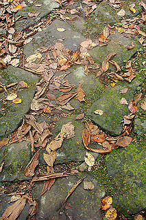 dsc06059_thumb.jpg
