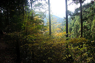 dsc06060_thumb.jpg