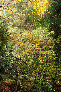 dsc06062_thumb.jpg