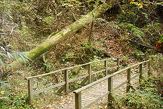 dsc06063_thumb.jpg