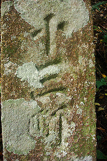 dsc06065_thumb.jpg