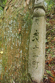 dsc06071_thumb.jpg