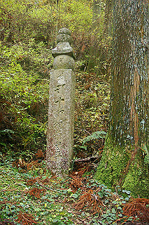 dsc06072_thumb.jpg