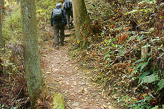 dsc06073_thumb.jpg