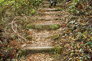 dsc06074_thumb.jpg
