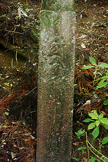 dsc06076_thumb.jpg