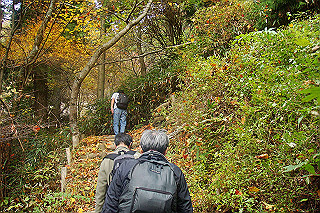 dsc06077_thumb.jpg