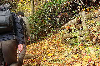 dsc06078_thumb.jpg