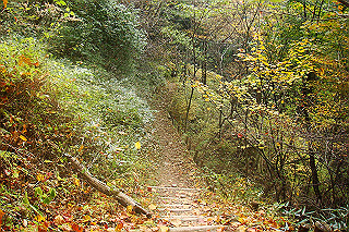 dsc06079_thumb.jpg