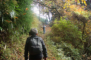 dsc06080_thumb.jpg