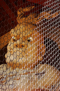 dsc06088_thumb.jpg