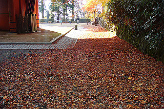 dsc06094_thumb.jpg
