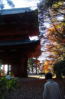 dsc06097_thumb.jpg