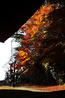 dsc06098_thumb.jpg