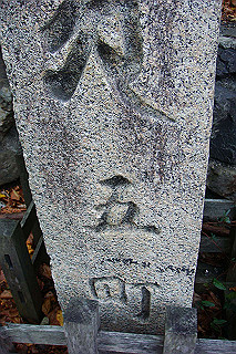 dsc06103_thumb.jpg