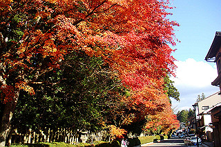 dsc06108_thumb.jpg