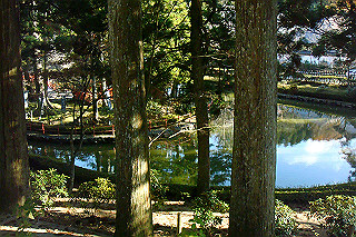dsc06115_thumb.jpg