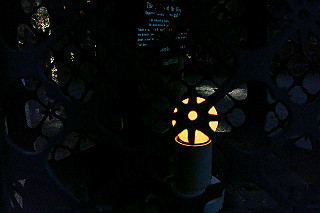 dsc06125_thumb.jpg