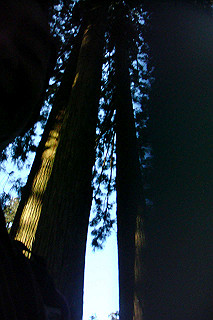 dsc06126_thumb.jpg