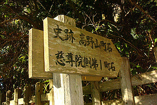 dsc06132_thumb.jpg