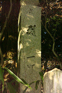 dsc06133_thumb.jpg